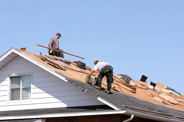 Best Storm Damage Roof Repair  in Ackley, IA