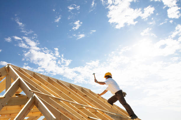Best Roof Insulation Installation  in Ackley, IA